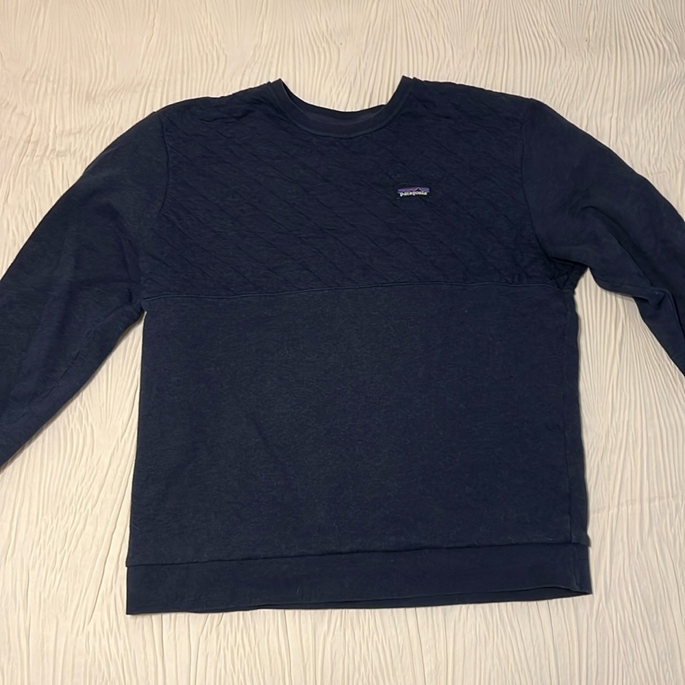 Patagonia sweatshirt